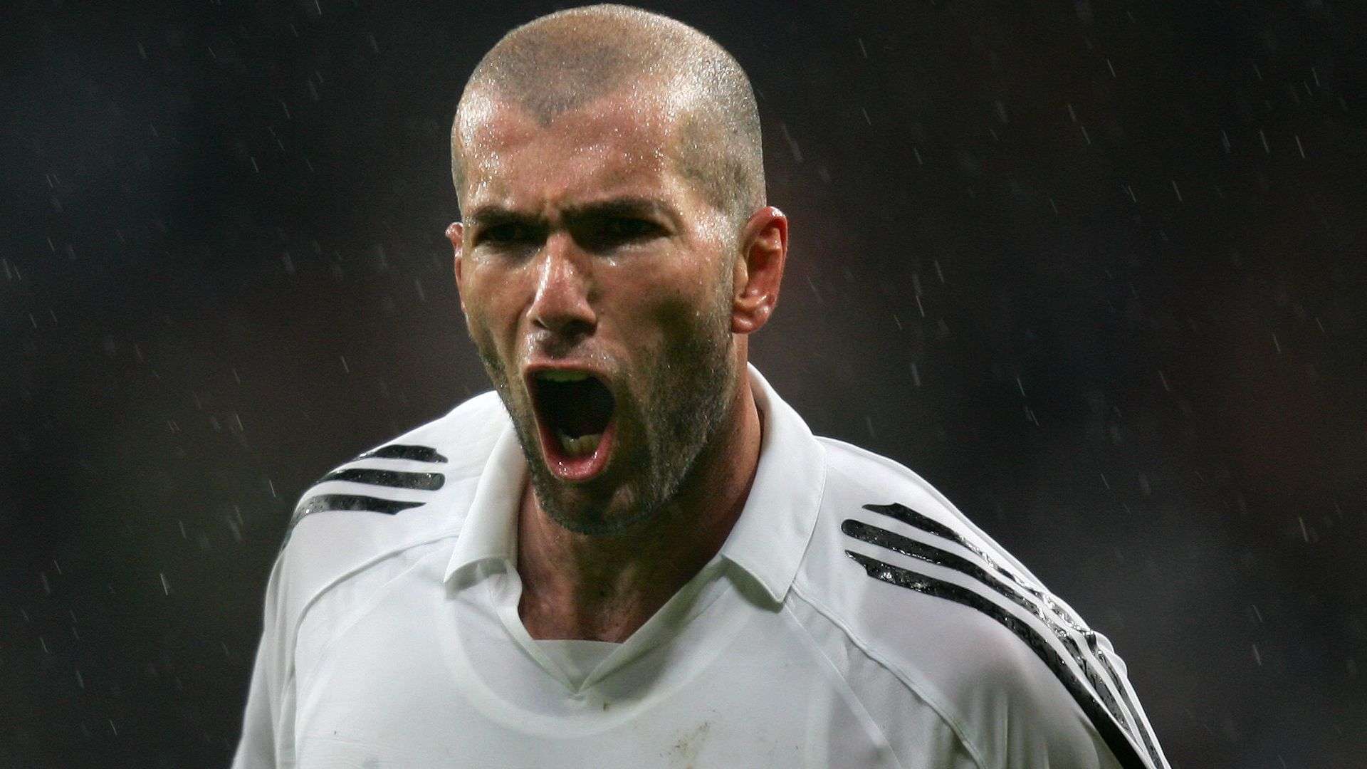 的提议并非 的提议并非