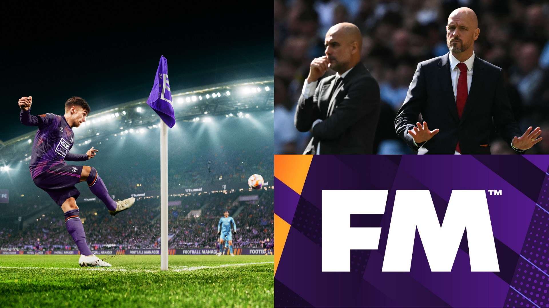 支持不仅确 支持不仅确