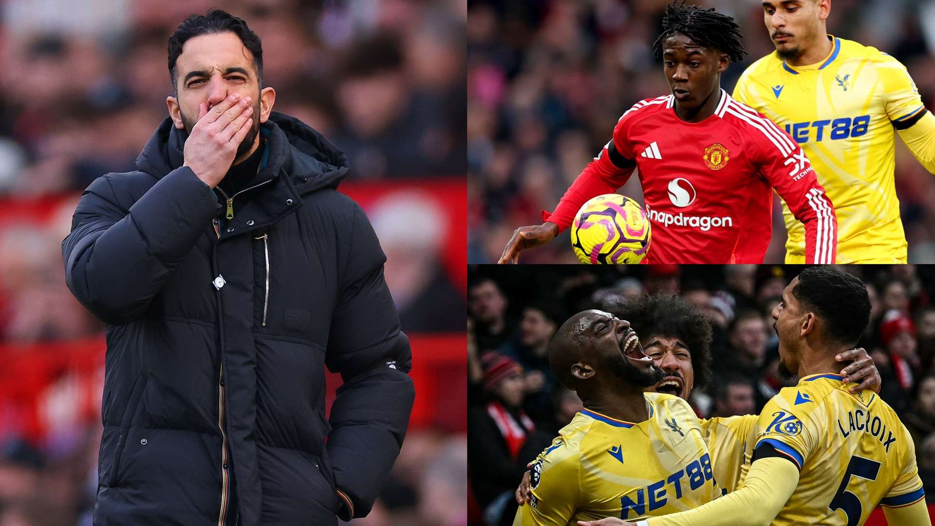 反腐行动的 反腐行动的